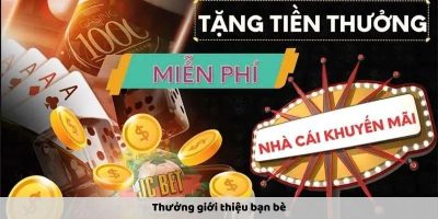 Khám Phá Đá Gà Betvisa: Trận Đấu Kịch Tính Và Cược Thắng Lớn