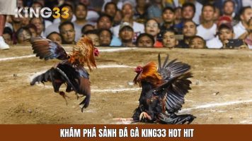 Sân chơi đá gà KING33 đỉnh cao