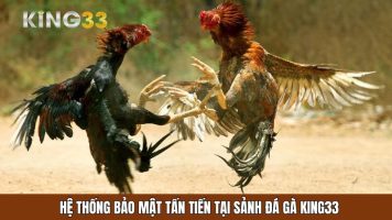 Sân chơi đá gà KING33 đỉnh cao