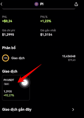 Change IP to USDT