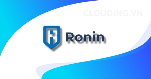 Tạo ví Ronin để chơi Game Pixels trên VPS Windows