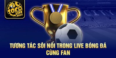 Live bóng đá: socolive trải nghiệm đỉnh cao