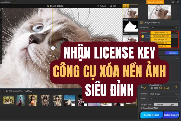 Delete the background with whom