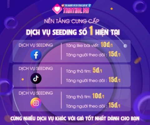 dịch vụ seeding