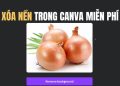 Hướng dẫn xóa nền trong Canva không cần bản Pro 8