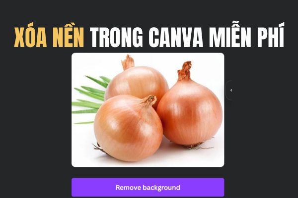 Hướng dẫn xóa nền trong Canva không cần bản Pro