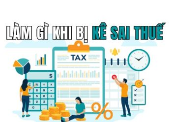 Cách báo cáo khi công ty kê khai thuế sai / chưa từng làm tại công ty đó 4