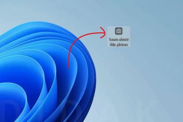 Hướng dẫn xóa icon Learn more about this picture trên Windows 11 4 Tại sao biểu tượng “Learn more about this picture” gây khó chịu?