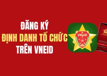 Hướng dẫn cách định danh tổ chức trên VNeID 9