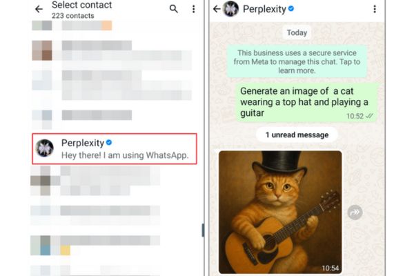 Hướng dẫn cách dùng Perplexity trên WhatsApp 10 Gõ câu hỏi hoặc yêu cầu