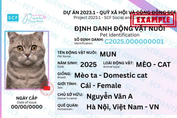 Hướng dẫn đăng ký Thẻ định danh thú cưng 7 Tại sao cần đăng ký thẻ định danh thú cưng?