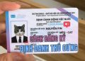Hướng dẫn đăng ký Thẻ định danh thú cưng 12