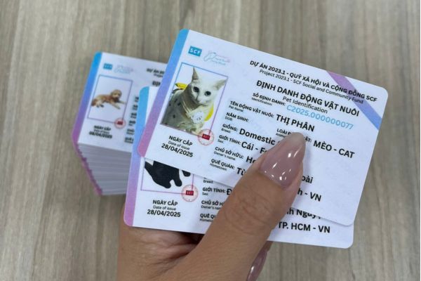 Hướng dẫn đăng ký Thẻ định danh thú cưng 8 Thẻ định danh khẳng định bạn là chủ sở hữu hợp pháp