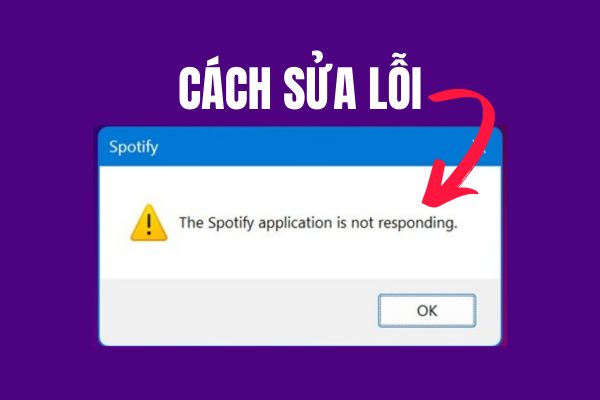How to fix The Spotification Application Is Not Responding on Windows 11