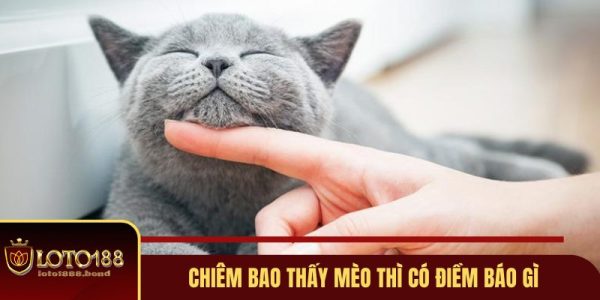 Nằm mơ thấy mèo đánh con gì? Tìm hiểu thông tin mới nhất 1 Nằm mơ thấy mèo đánh con gì? Tìm hiểu thông tin mới nhất 1