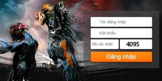 Lỗi đăng nhập SV388