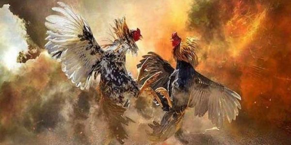 Nhà cái OK88: lựa chọn lý tưởng cho các bet thủ 3