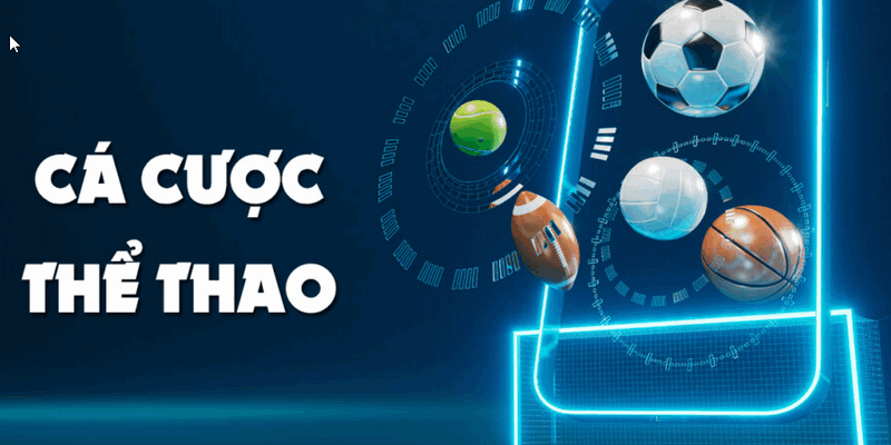 Khám phá thế giới cá cược thể thao tại K9CC 1 Khám phá thế giới cá cược thể thao tại K9CC 1