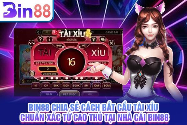 Bin88 - Chia sẻ cách bắt cầu tài xỉu tại nhà cái Bin88 1