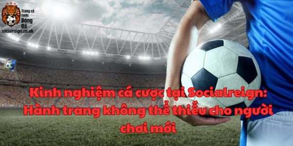 Kinh nghiệm cá cược tại Socialreign 1