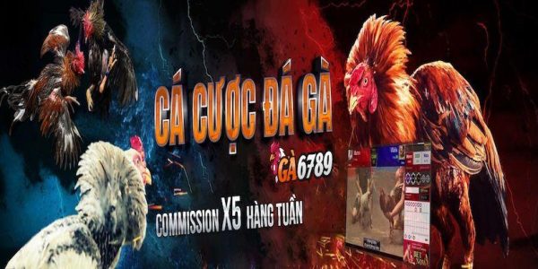 Nhà cái GA6789 sân chơi uy tín hàng đầu hiện nay 2