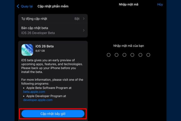 Nhấn Cập nhật bây giờ