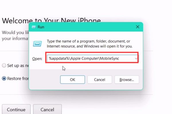 Cách hạ cấp từ iOS 26 beta xuống iOS 18.5 không mất dữ liệu 36 Dán chính xác dòng lệnh sau