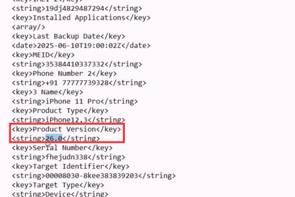Cách hạ cấp từ iOS 26 beta xuống iOS 18.5 không mất dữ liệu 38 TÌm Product Version