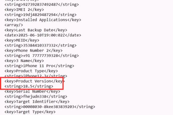 Cách hạ cấp từ iOS 26 beta xuống iOS 18.5 không mất dữ liệu 39 Hãy sửa số 26.0 thành 18.5