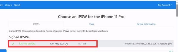 Cách hạ cấp từ iOS 26 beta xuống iOS 18.5 không mất dữ liệu 30 Tải về phiên bản Signed IPSW