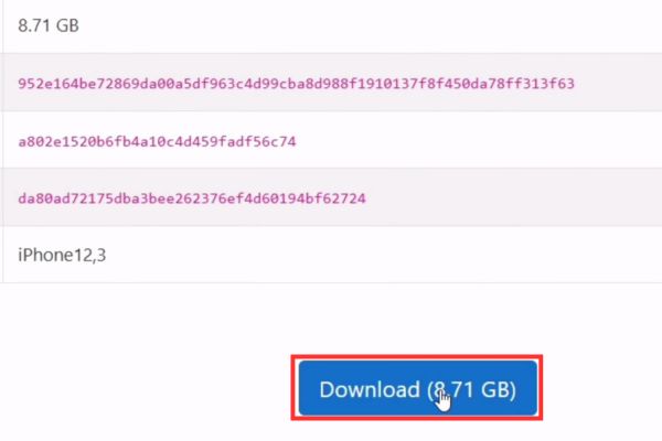 Cách hạ cấp từ iOS 26 beta xuống iOS 18.5 không mất dữ liệu 31 Nhấn vào phiên bản đó và chọn Download