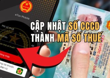 Hướng dẫn cập nhật số CCCD thành mã số thuế trên eTax Mobile 9