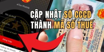 Hướng dẫn cập nhật số CCCD thành mã số thuế trên eTax Mobile 39