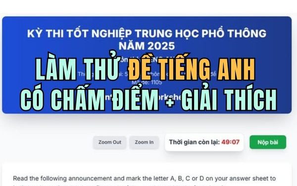 Trang chủ 47