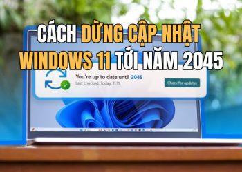 Hướng dẫn dừng cập nhật Windows 11 trong 20 năm 4