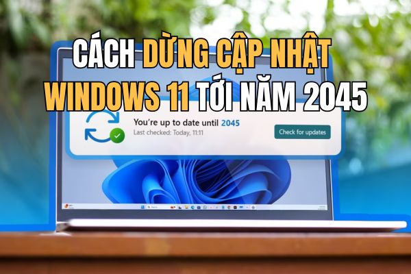 Instructions to stop updating Windows 11 for 20 years