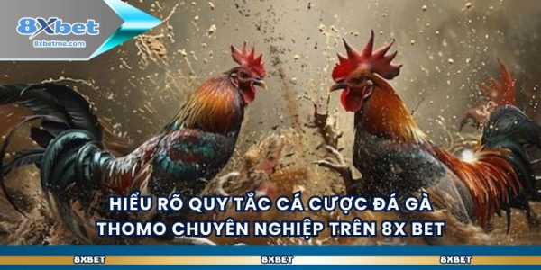 Khám phá đa dạng loại hình đá gà Campuchia hấp dẫn
