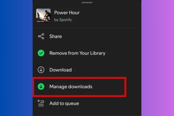 Kiểm tra trong mục Manage Downloads