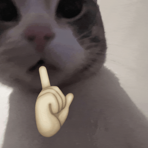 Ảnh GIF meme vẫn luôn có sức hút