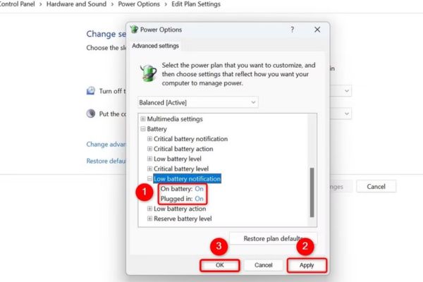 Hướng dẫn tùy chỉnh thông báo pin yếu trên Windows 11 14 Cả hai tùy chọn được bật thành On