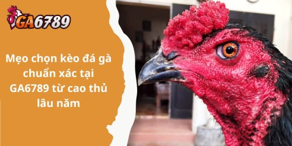 Tìm hiểu Ga6789 - điểm đến không thể bỏ qua