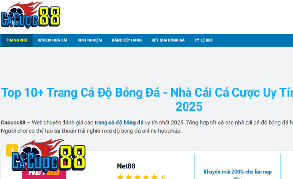 Giới thiệu nét đặc sắc về trang cá độ bóng đá Cacuoc88