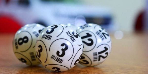 Tính linh hoạt và dễ sử dụng góp phần thu hút thành viên tham gia
