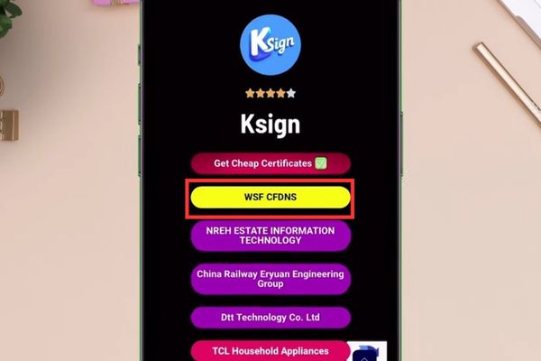 Cách bypass Unable to Verify App trên iPhone 18 Nhấn vào nút WSF CFDNS