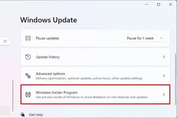 Nhấp vào tab Windows Insider Program