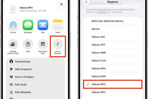Hướng dẫn cách đặt file ghi âm làm nhạc chuông iOS 26 13 Chọn Use as Ringtone