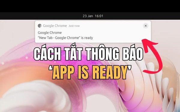 Trang chủ 42