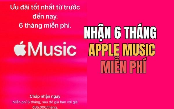 Trang chủ 46