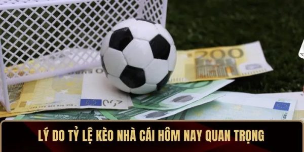 Lý do tỷ lệ kèo nhà cái hôm nay quan trọng