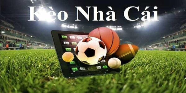 Ảnh hưởng của tỷ lệ kèo nhà cái đến kết quả cá cược